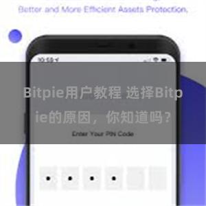 Bitpie用户教程 选择Bitpie的原因，你知道吗？