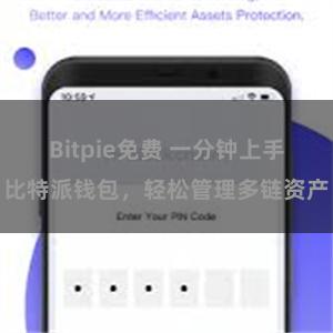 Bitpie免费 一分钟上手比特派钱包，轻松管理多链资产