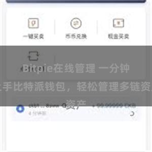 Bitpie在线管理 一分钟上手比特派钱包，轻松管理多链资产