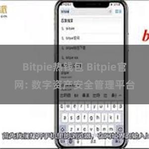 Bitpie热钱包 Bitpie官网: 数字资产安全管理平台