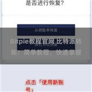 Bitpie教程官网 比特派转账：简单教程，快速掌握