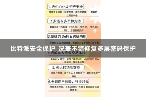 比特派安全保护  况兼不错修复多层密码保护