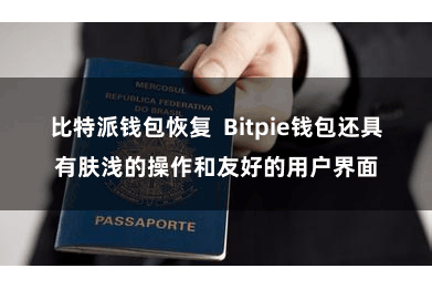 比特派钱包恢复  Bitpie钱包还具有肤浅的操作和友好的用户界面