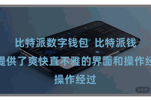 比特派数字钱包  比特派钱包提供了爽快直不雅的界面和操作经过