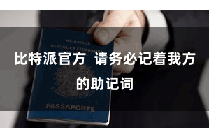 比特派官方  请务必记着我方的助记词