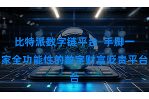 比特派数字链平台  手脚一家全功能性的数字财富贬责平台