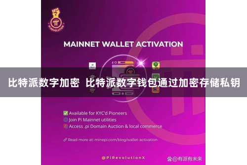 比特派数字加密  比特派数字钱包通过加密存储私钥