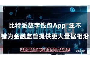 比特派数字钱包App  还不错为金融监管提供更大量据相沿